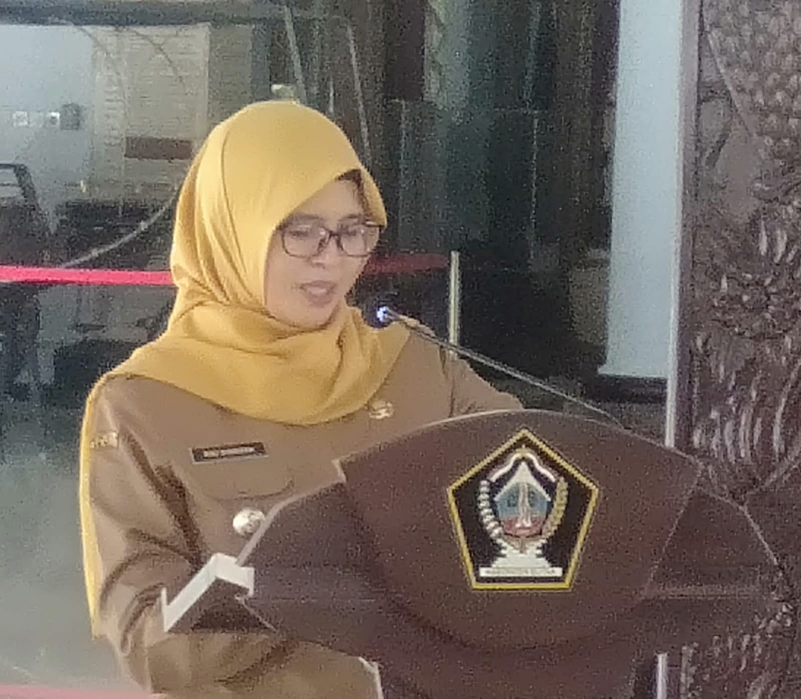 Dewan Mendesak Bubarkan TP2ID, Bupati Blitar Akan Evaluasi