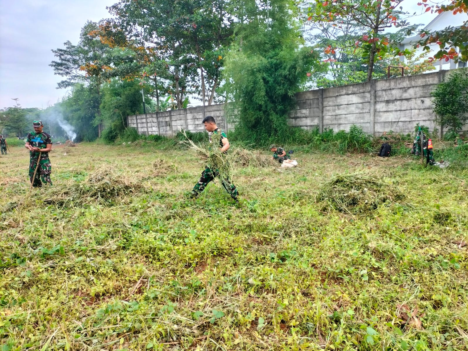 Babinsa Koramil Serpong Bersihkan Lahan Food Estate