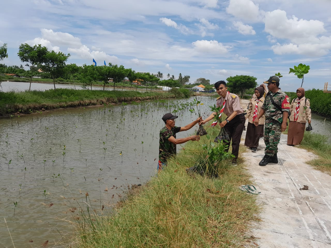 Batuud Koramil 09/Mauk Pimpin Penanaman Mangrove di Ketapang