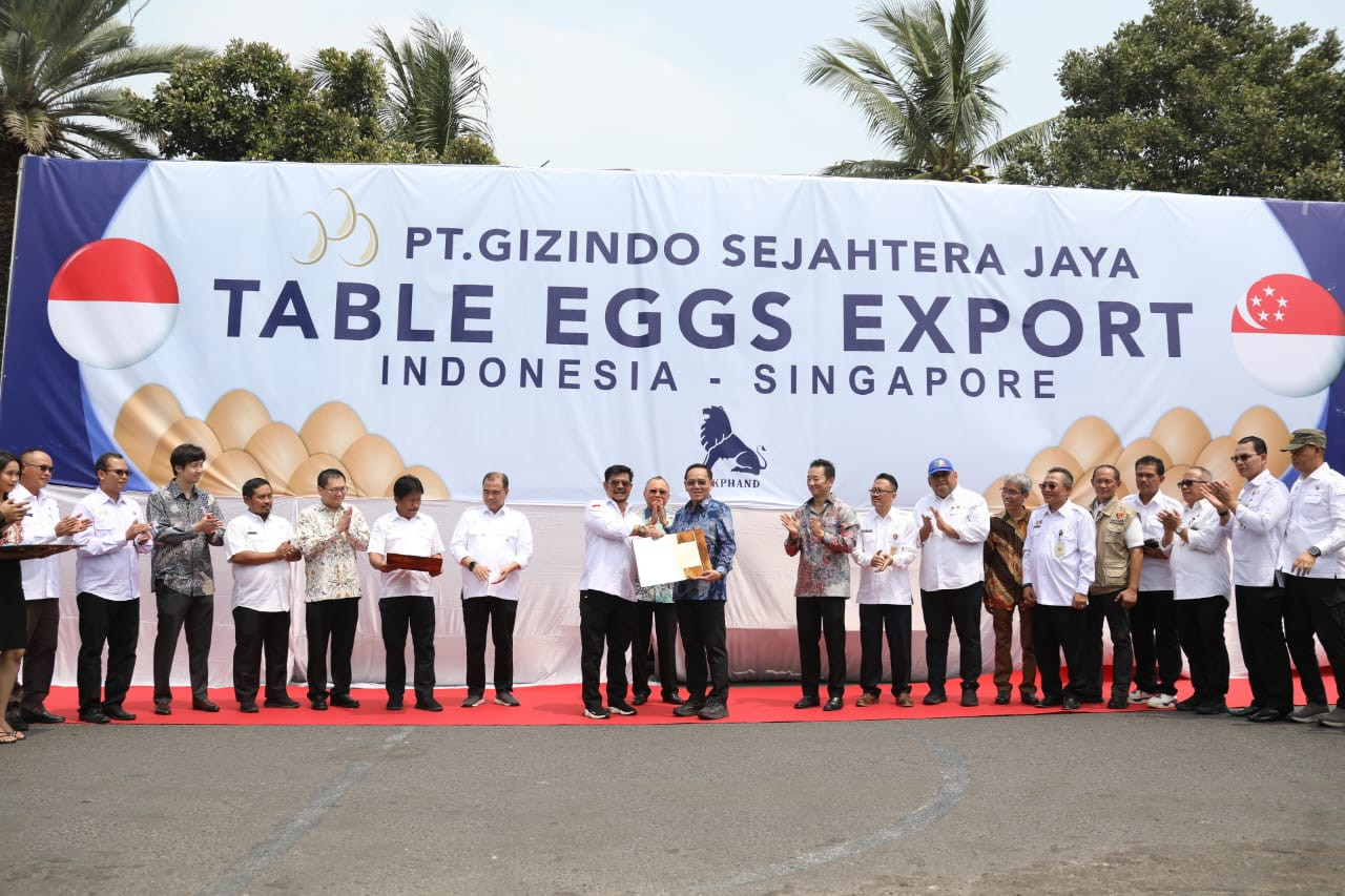 Indonesia Ekspor Telur Ayam ke Singapura Senilai Rp 1, 15 Miliar 