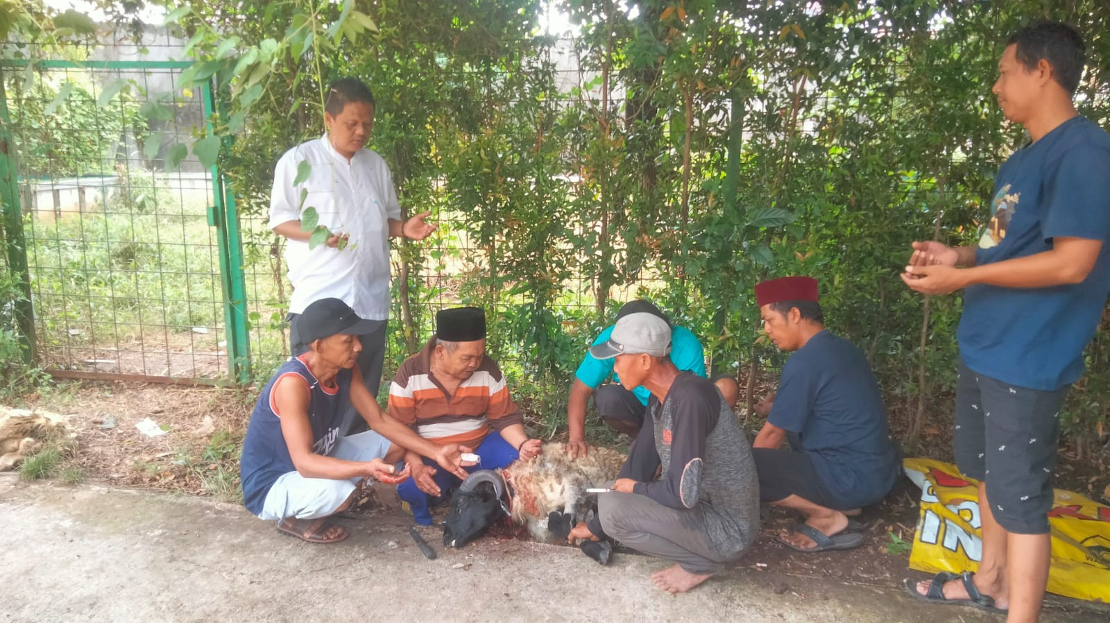 JMSI Kota Tangerang Sembelih Hewan Kurban dan Bagikan Daging ke Warga