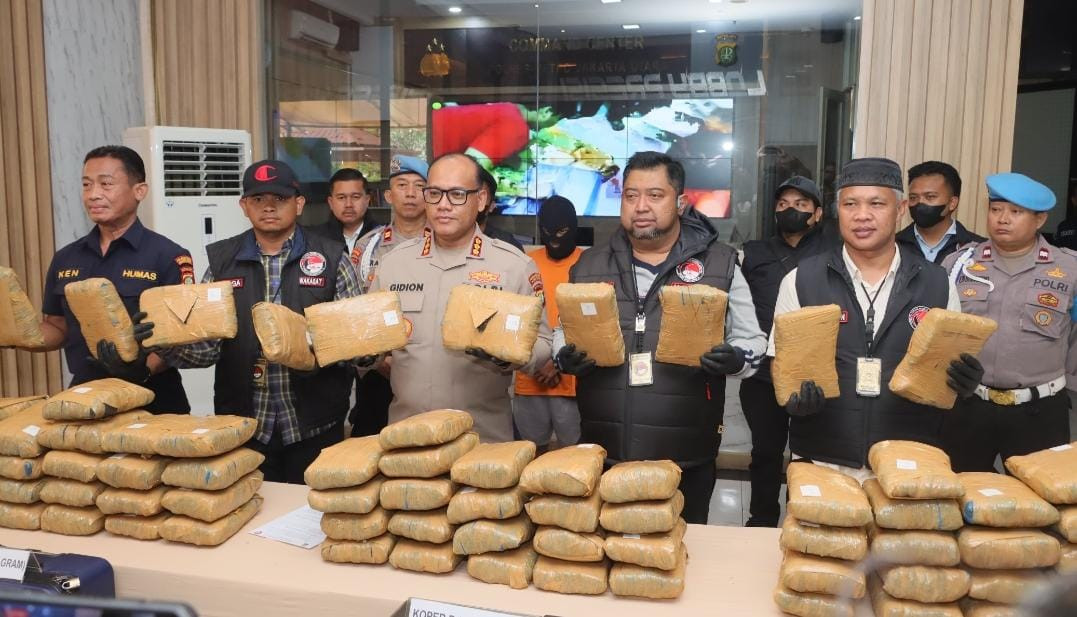 Polres Metro Jakarta Utara Gagalkan Peredaran Ganja Seberat 77 Kilogram