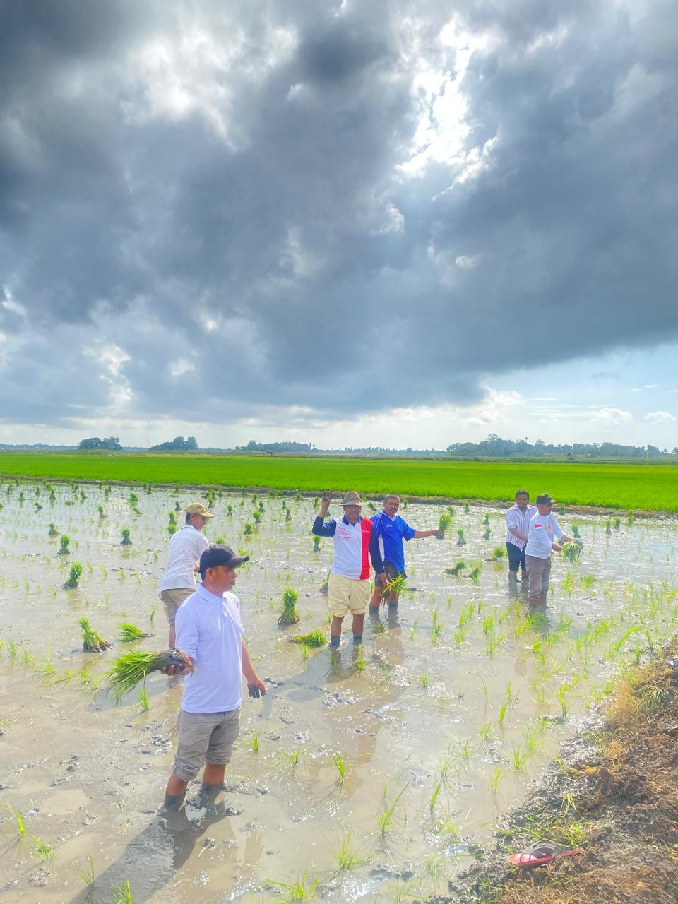 Pakar Kebijakan Publik : Pangkas 145 Regulasi, Kebijakan Distribusi Pupuk Langsung Ke Petani Dinilai Tepat