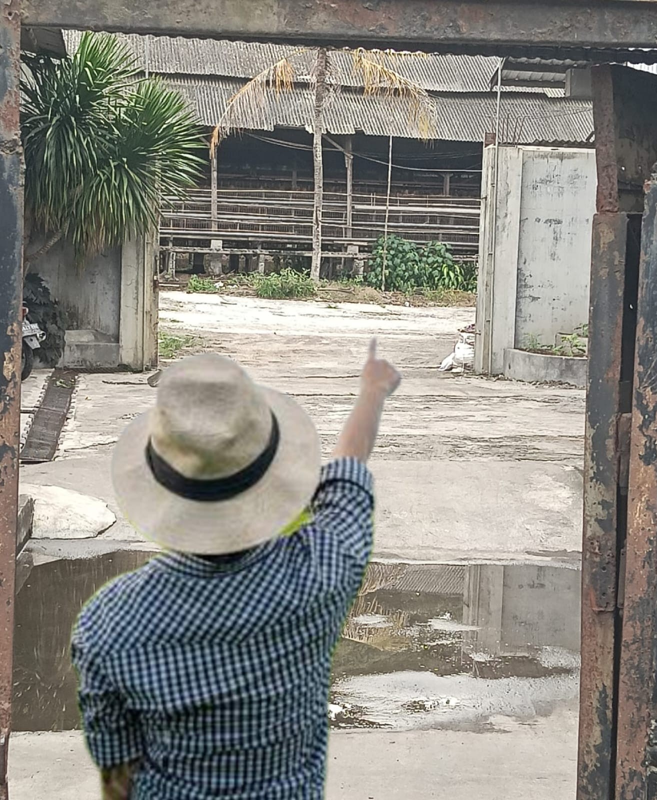 Pejabat Pemkab Blitar Mandul, Kasus Peternakan Bodong Menjamur