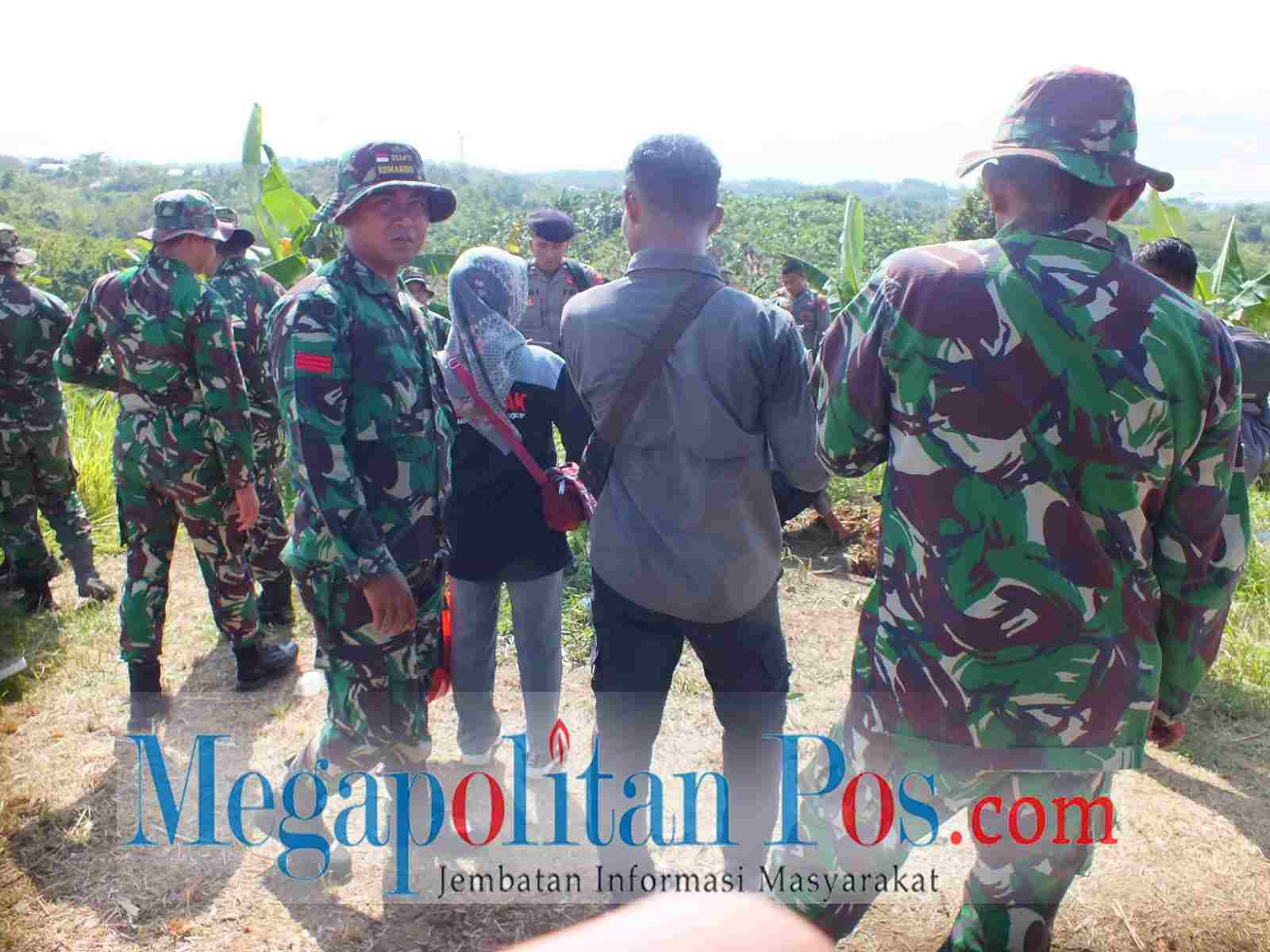 POHON_rsz.jpg