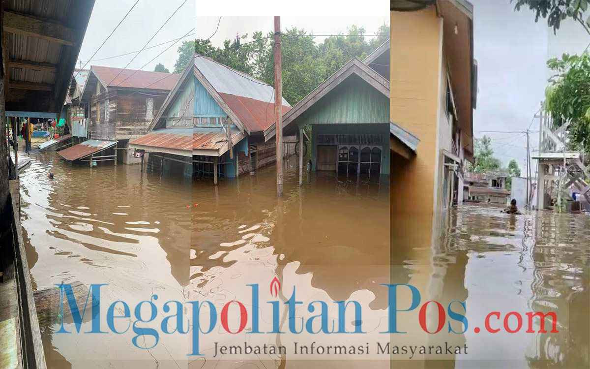 WAHIDAH_RSZ_MEGA_RSZ.jpg